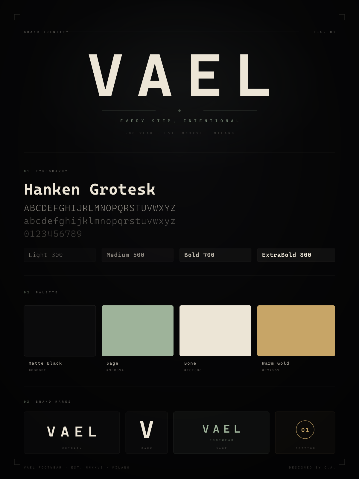 VAEL Identity